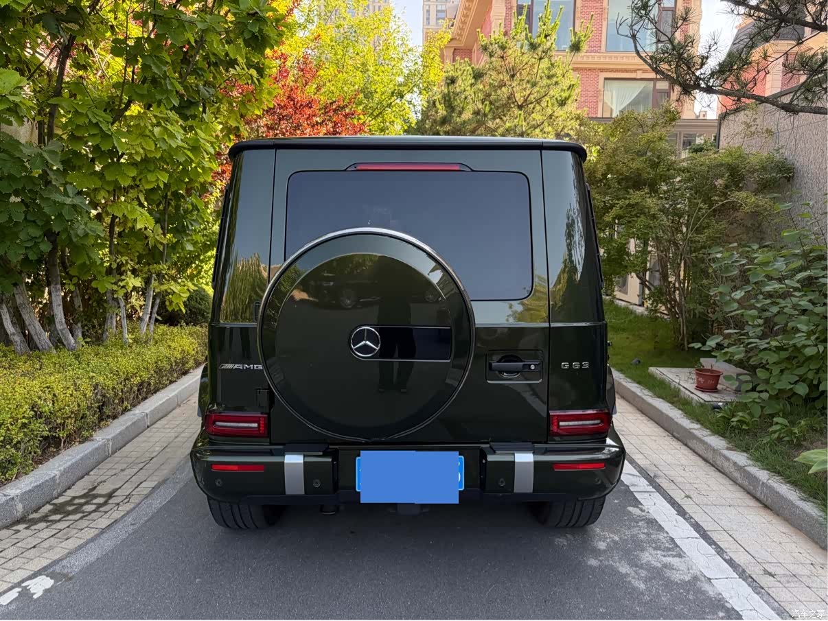 Mercedes-Benz G-Class, 2019 все фото