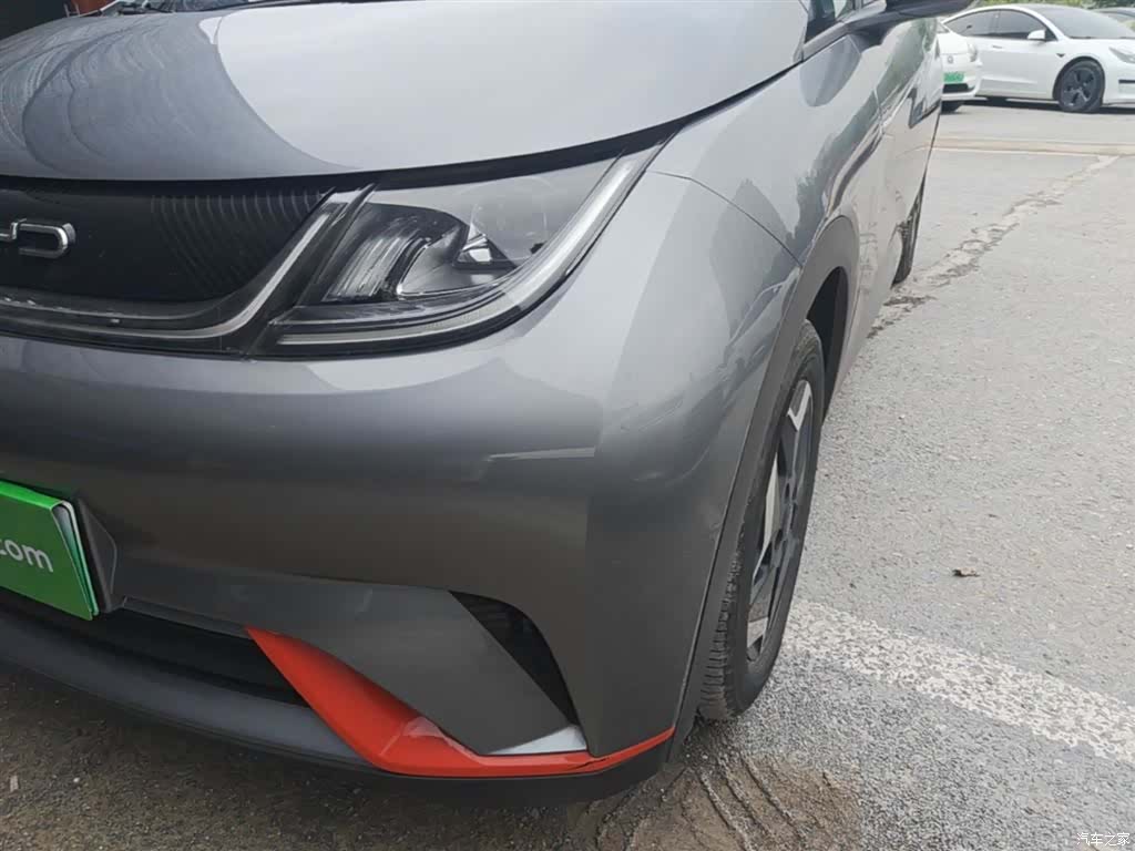 BYD Dolphin, 2022 24