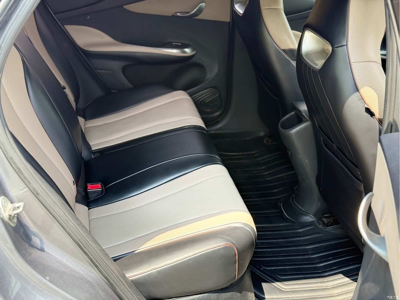 BYD Dolphin, 2024 12