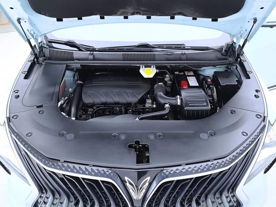 Forthing Popular yachts