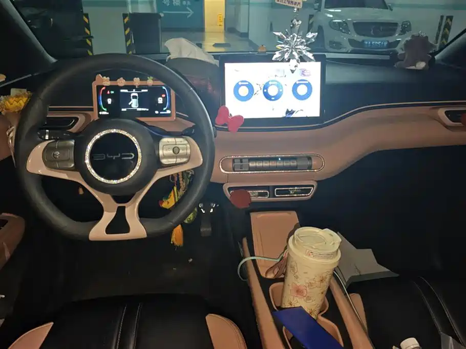 BYD Seagull