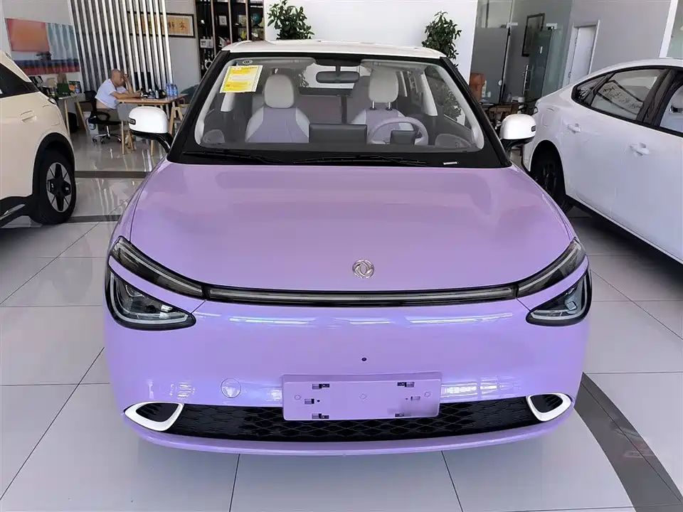 Dongfeng Nammi Nano 01