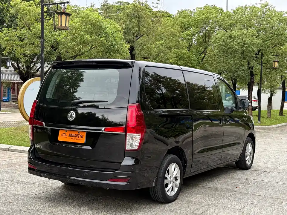 Forthing Lingzhi PLUS