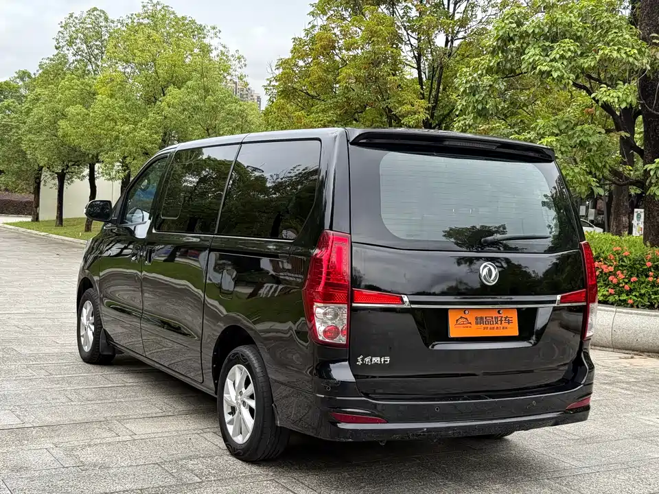 Forthing Lingzhi PLUS