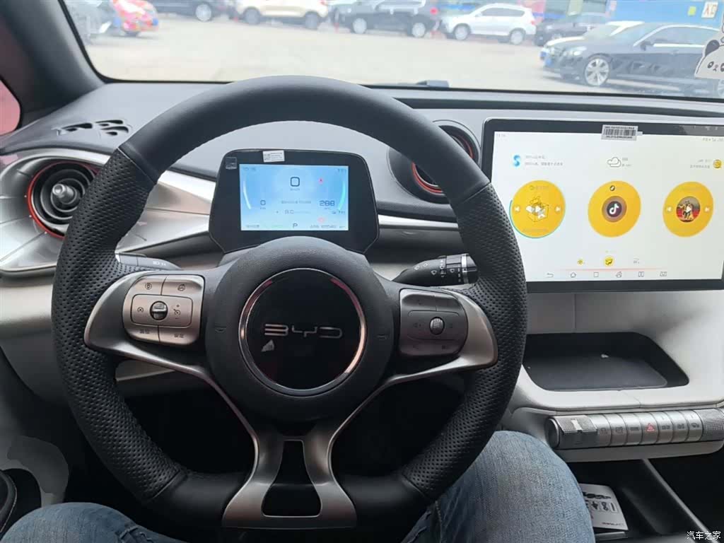 BYD Dolphin, 2021 10