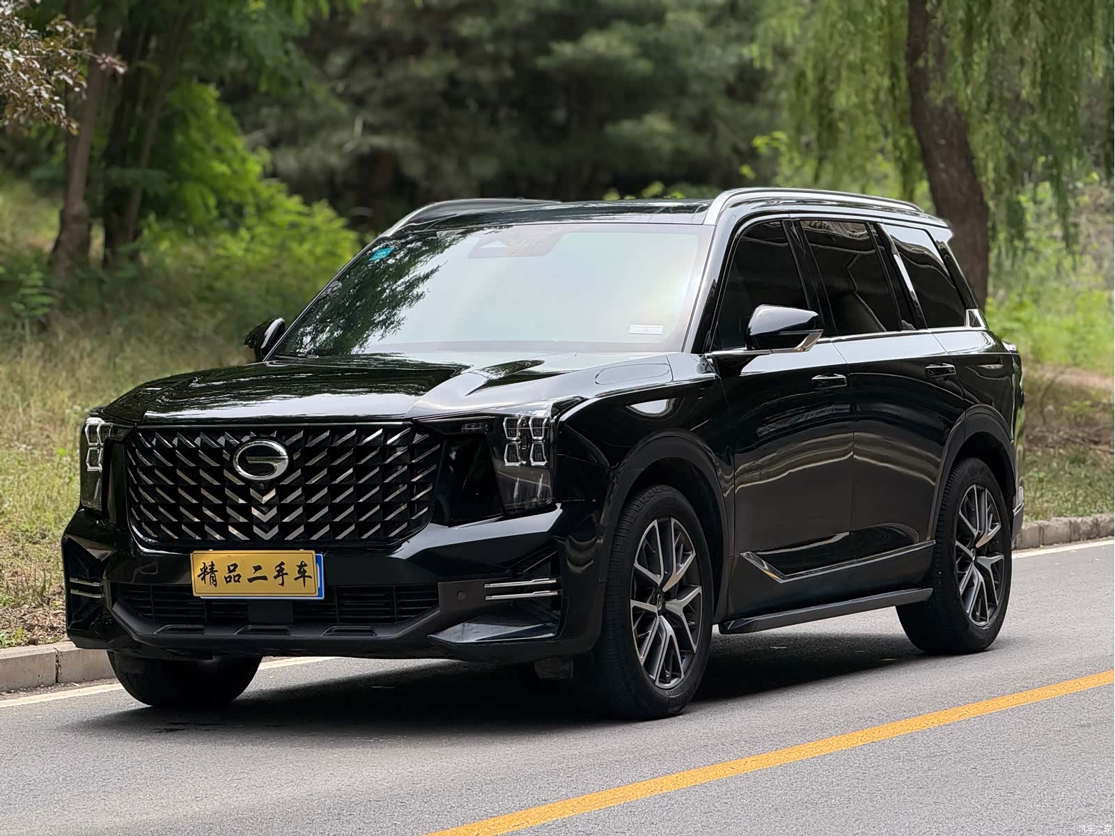Trumpchi GS8, 2022 1