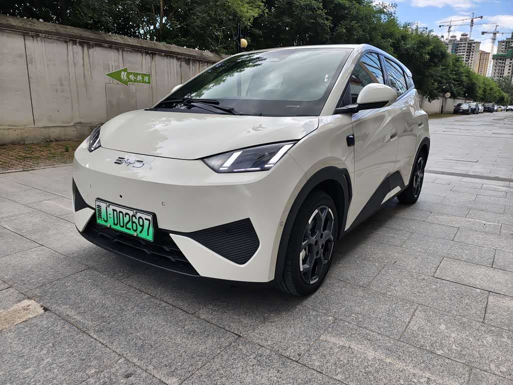 BYD Seagull