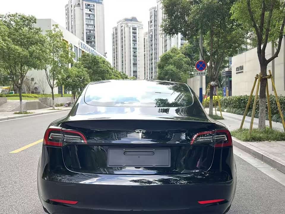 Tesla Model 3 Tesla Model 3