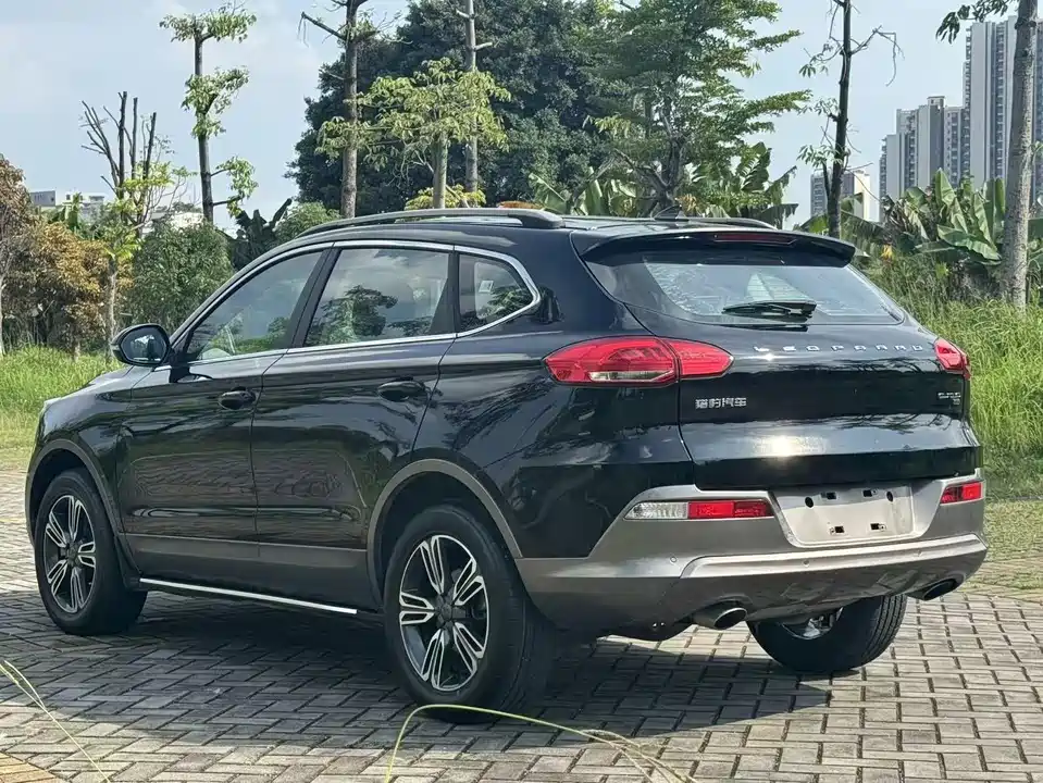 Leopaard Cheetah CS10