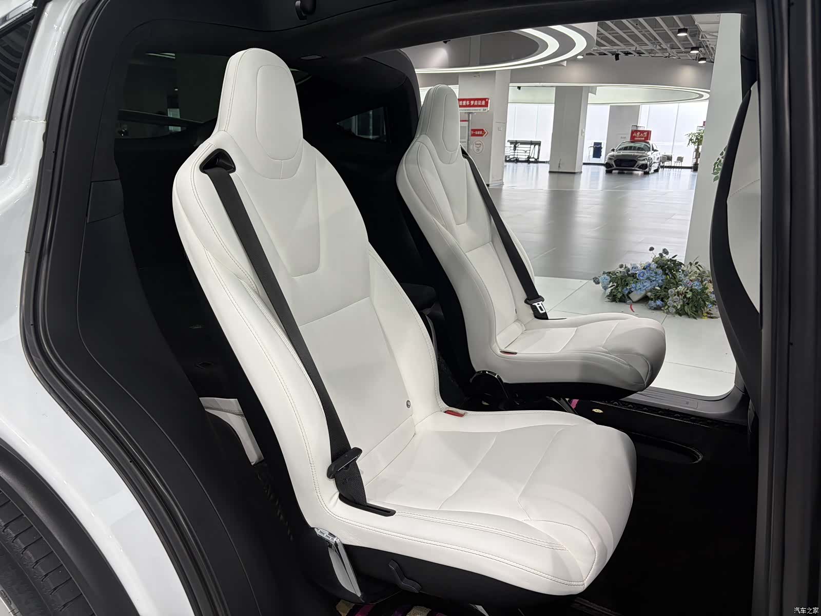 Tesla Model X, 2019 10