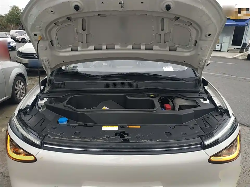 Dongfeng Nammi Nano 01