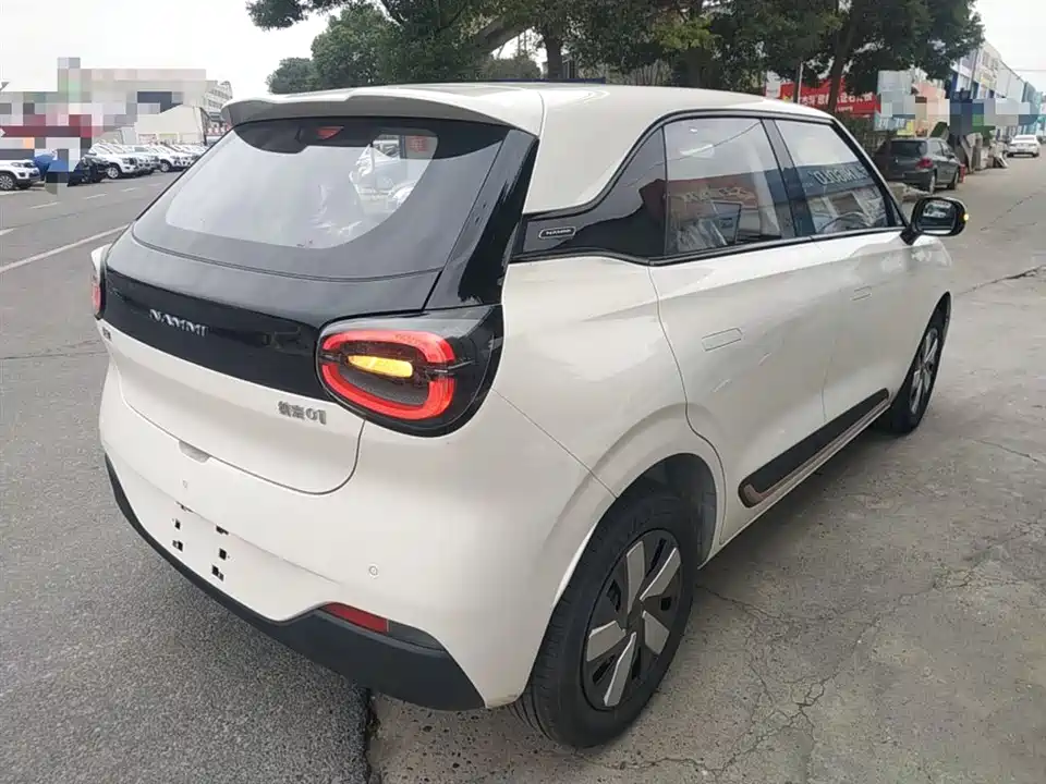 Dongfeng Nammi Nano 01