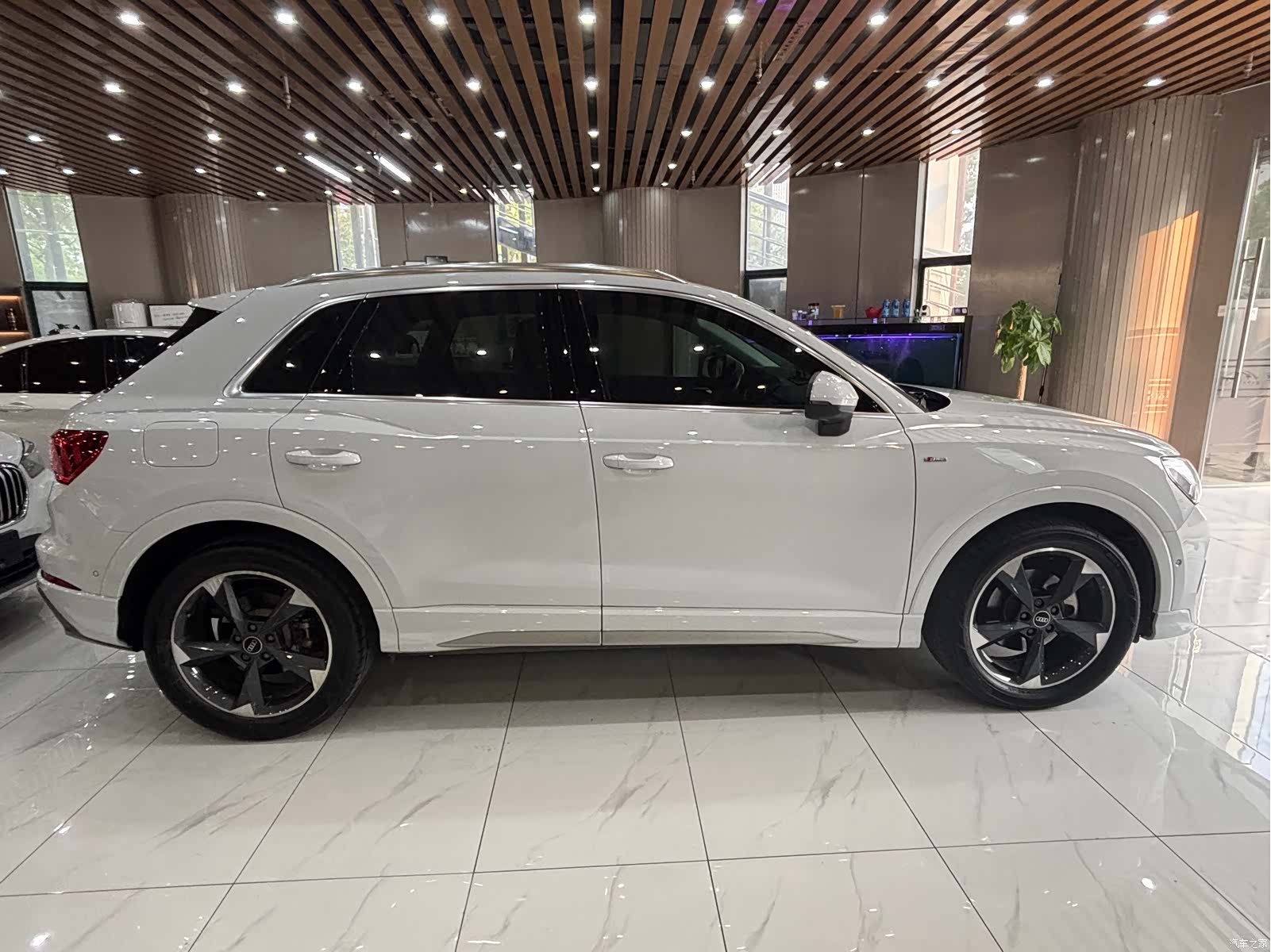 Audi Q3, 2022 все фото