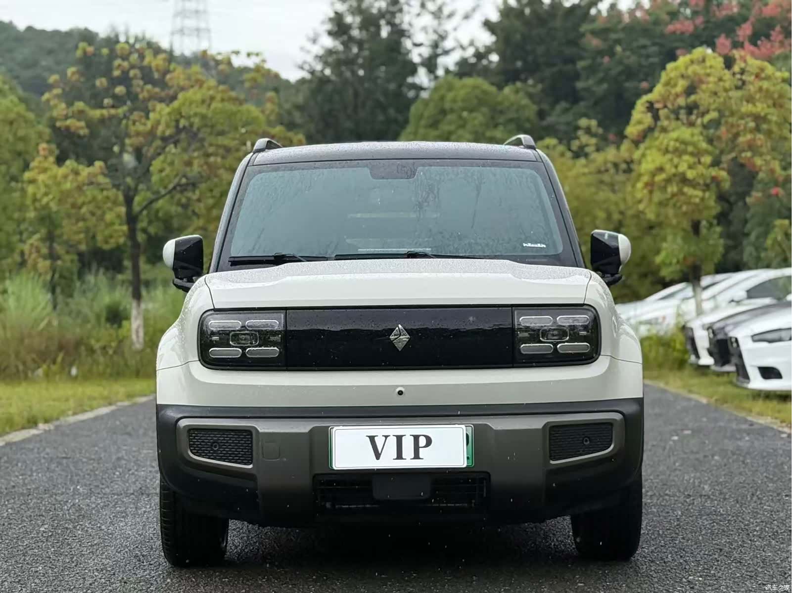 Wuling Yep, 2025 2
