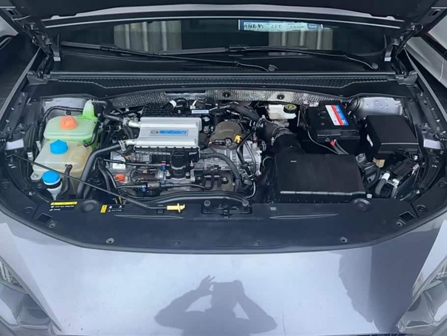 Trumpchi Shadow Leopard