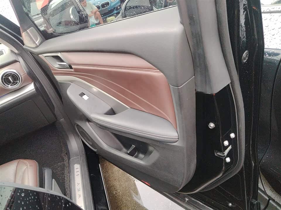 Weipai VV6