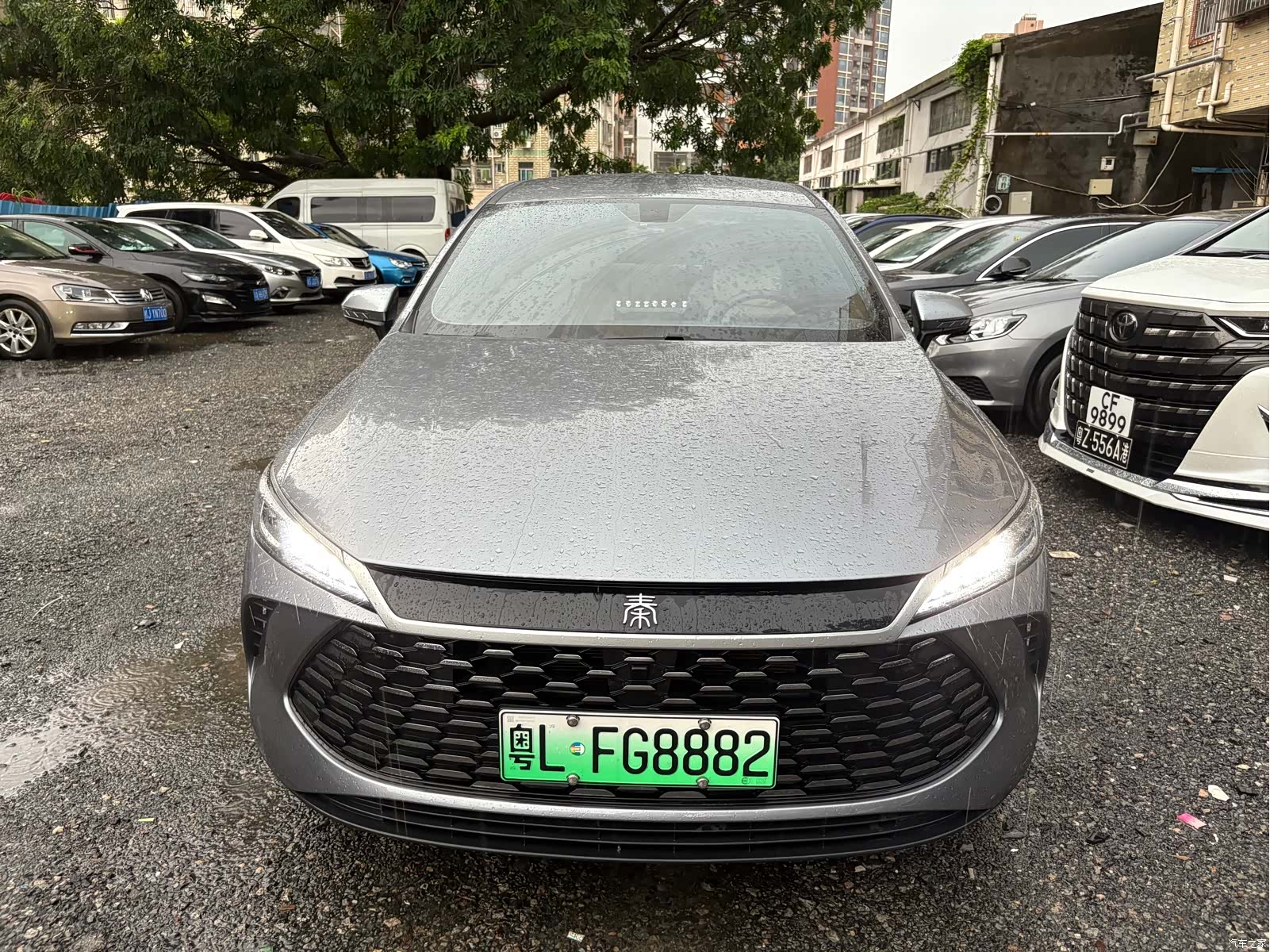 BYD Qin, 2025 2