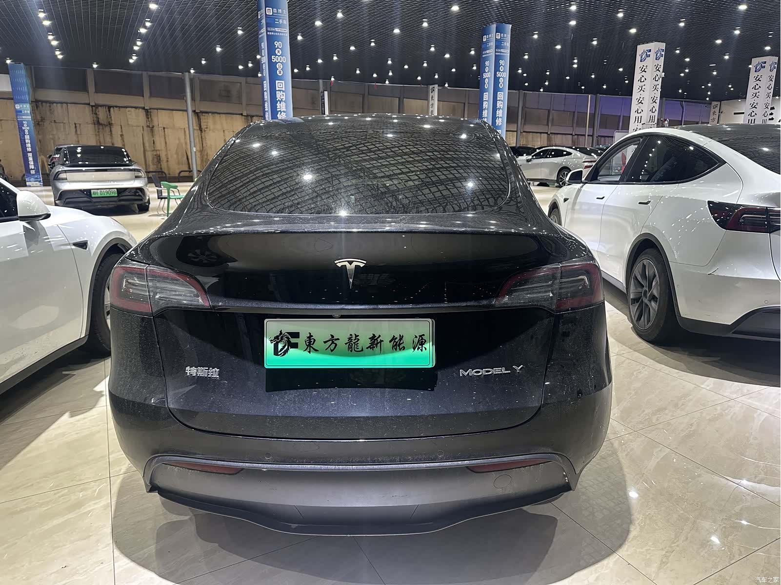 Tesla Model Y, 2023 6