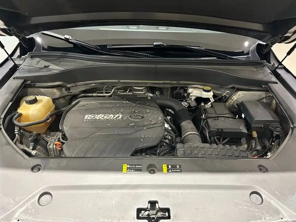 Trumpchi Trumpchi GS8