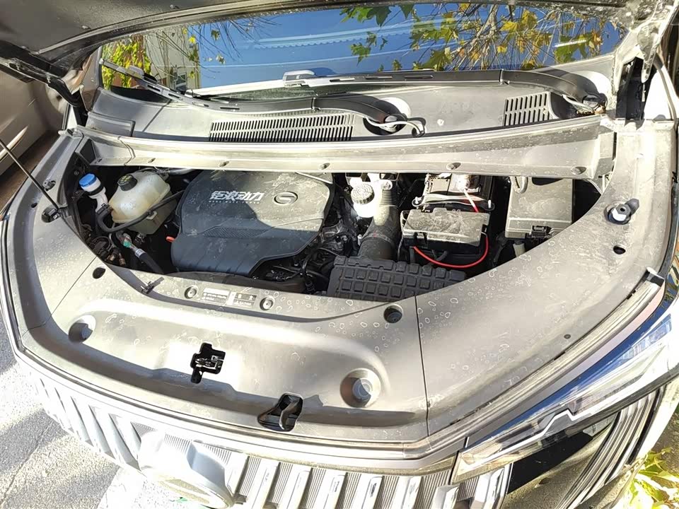 Trumpchi Trumpchi M8