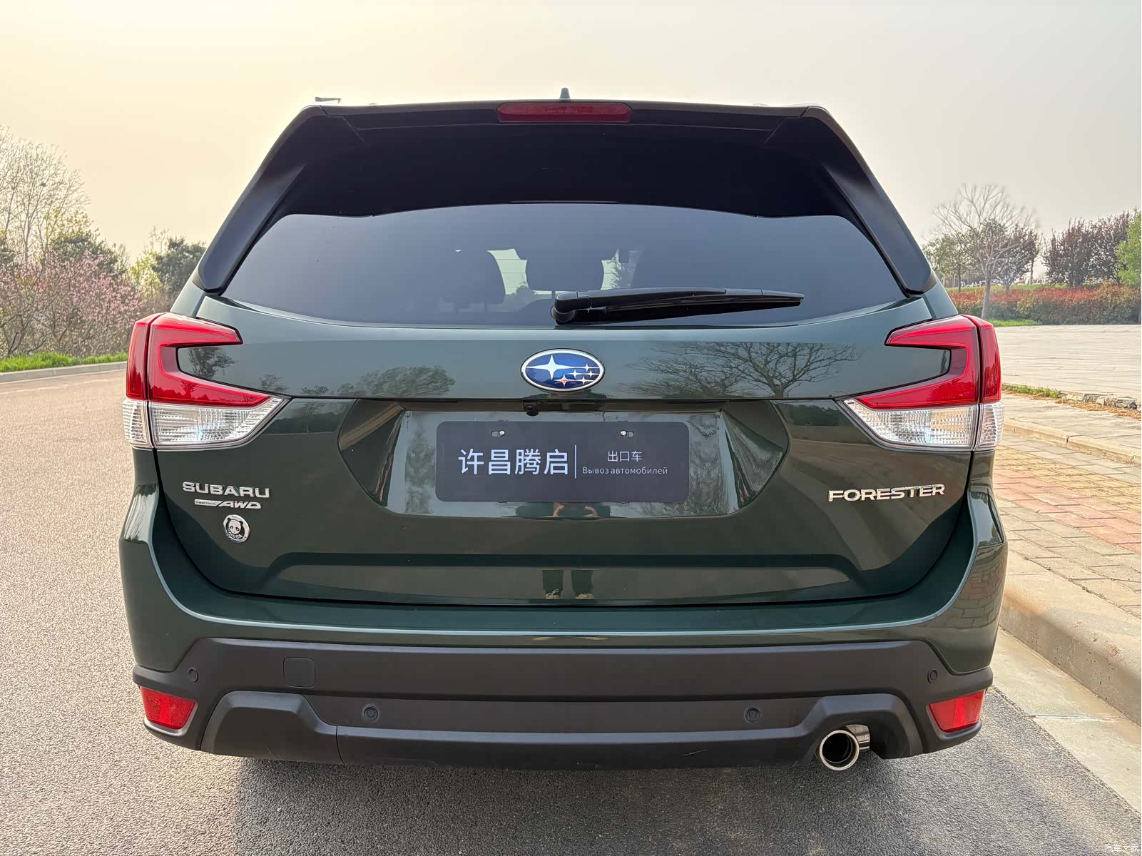 Subaru Forester, 2023 6