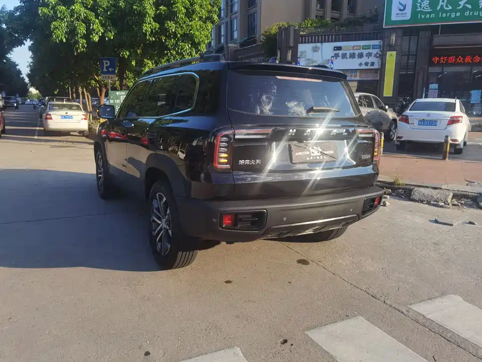 Haval Big dog