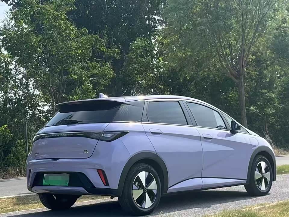 BYD dolphin