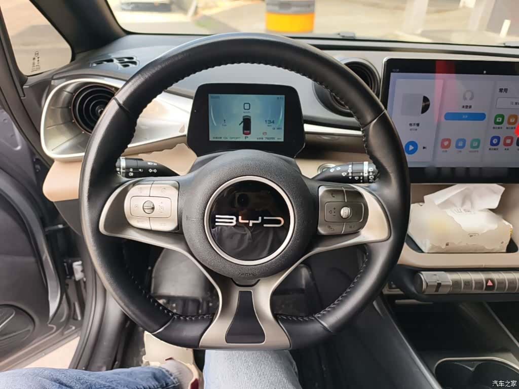 BYD Dolphin, 2023 11