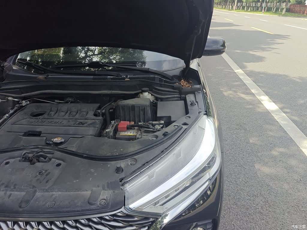 Haval M6, 2021 22