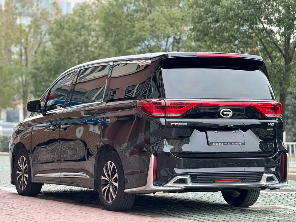 Trumpchi Trumpchi M8