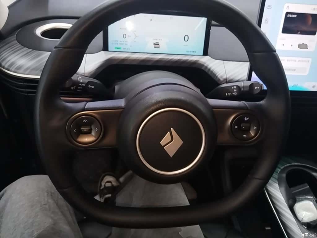 Wuling 460, 2023 11