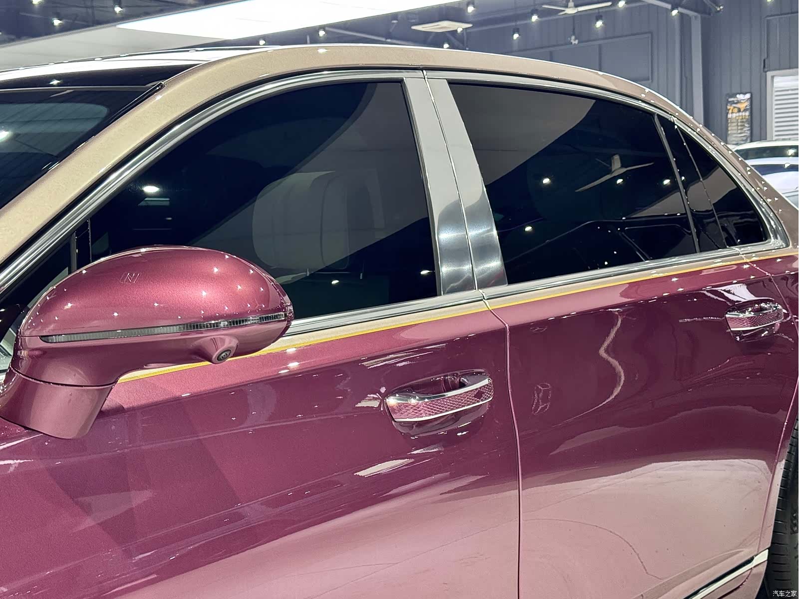 Hongqi Guoya, 2025 13