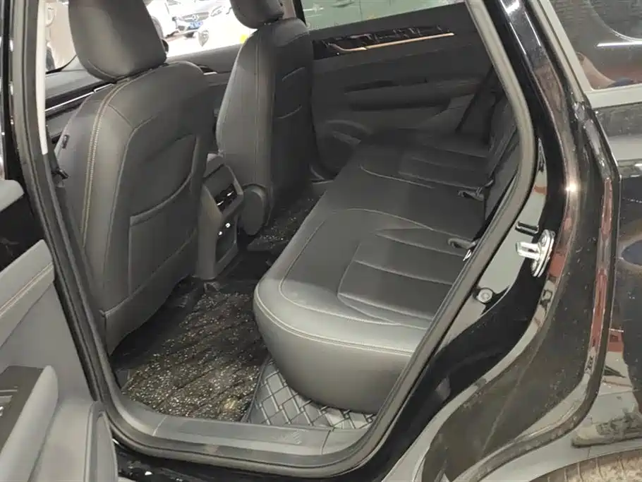 Wuling Wuling Starlight