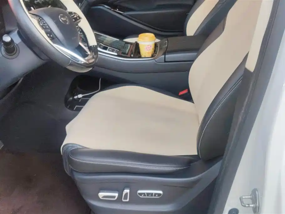 Trumpchi Trumpchi M8