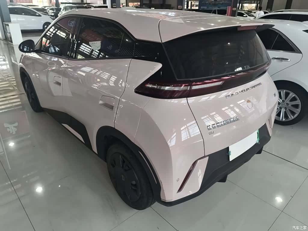 BYD Seagull, 2024 23