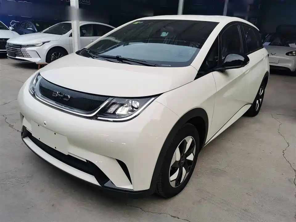 BYD dolphin