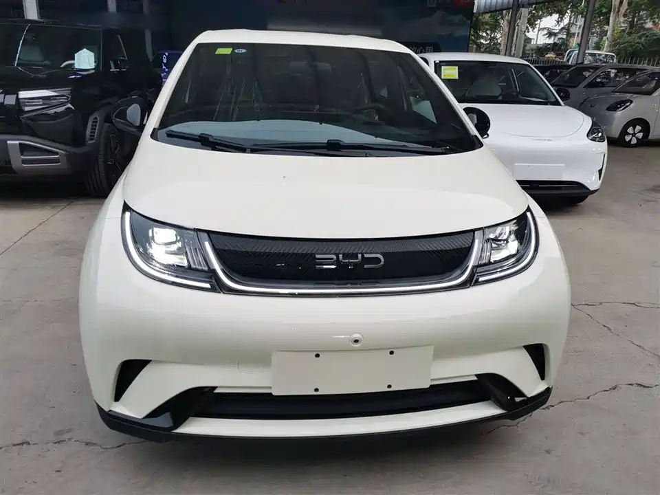BYD dolphin