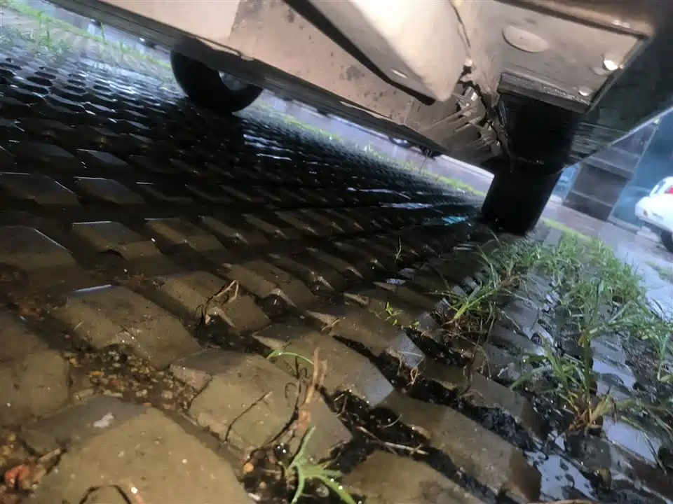 Geometry EX3 Kung Fu Cow