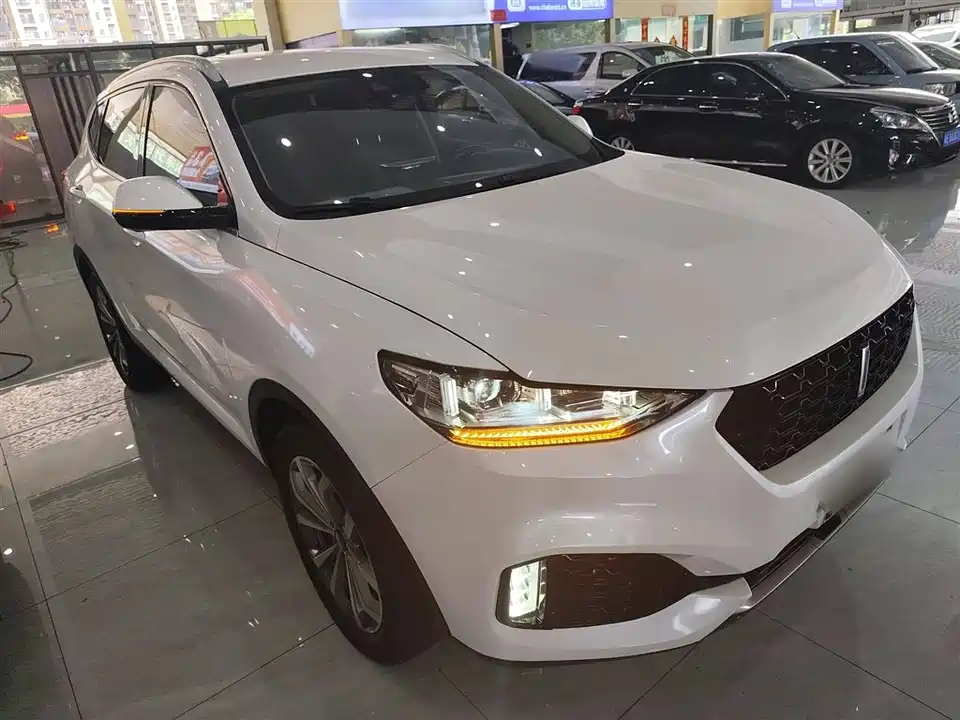 Weipai VV6