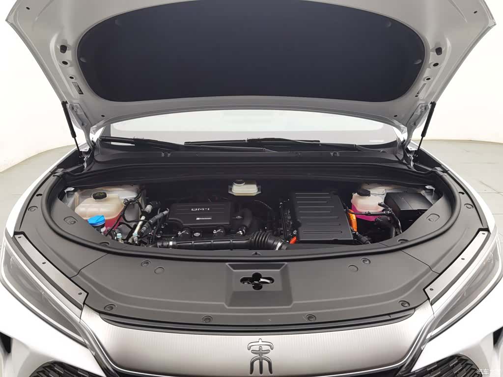 BYD Song, 2024 6