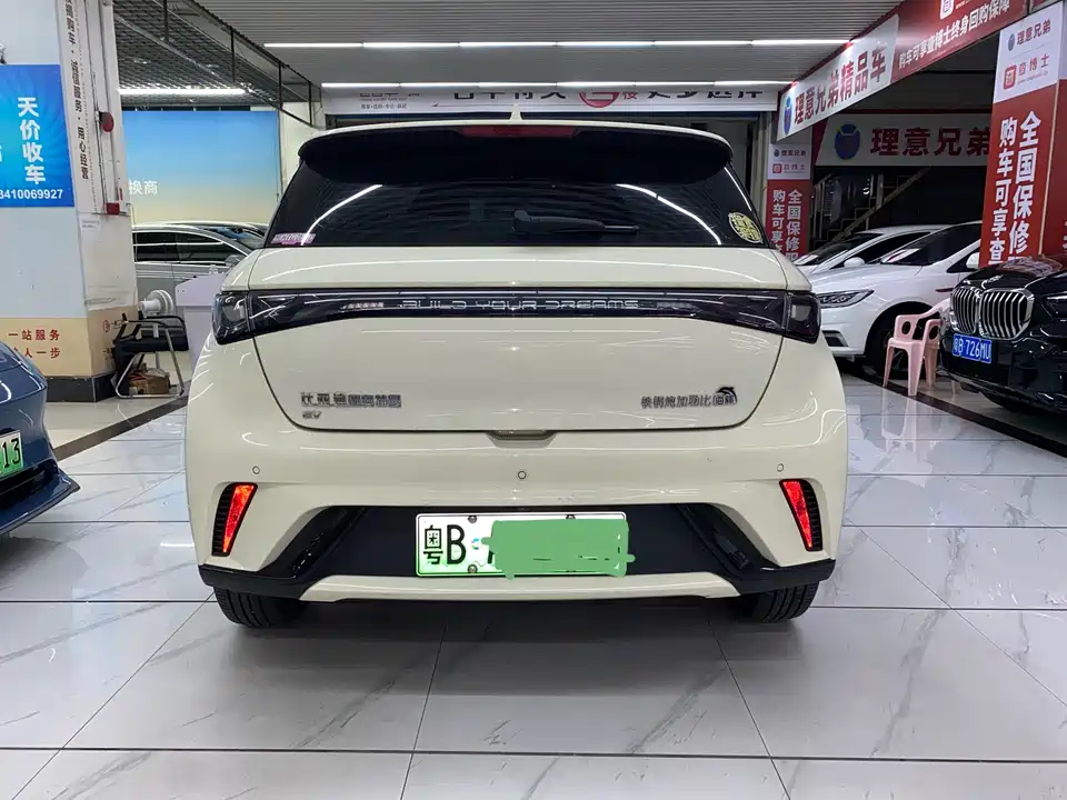 BYD dolphin
