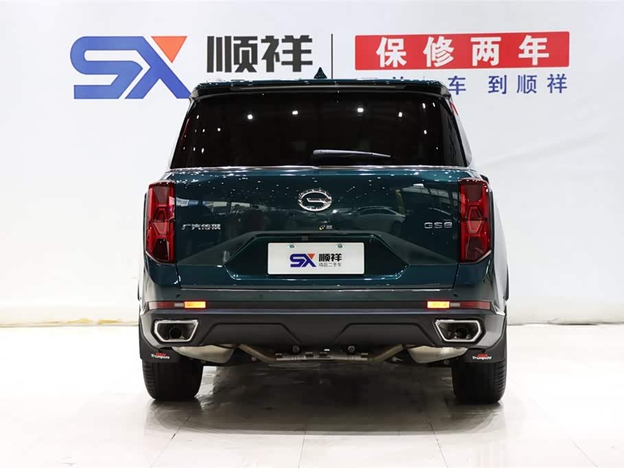 Trumpchi Trumpchi GS8 Trumpchi Trumpchi GS8