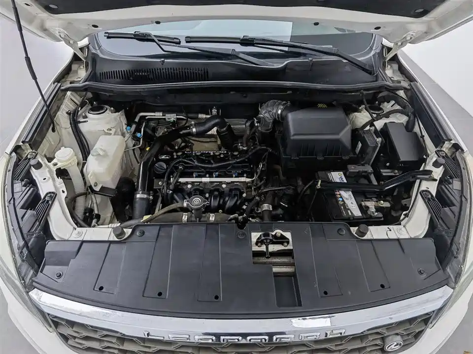 Leopaard Cheetah CS10