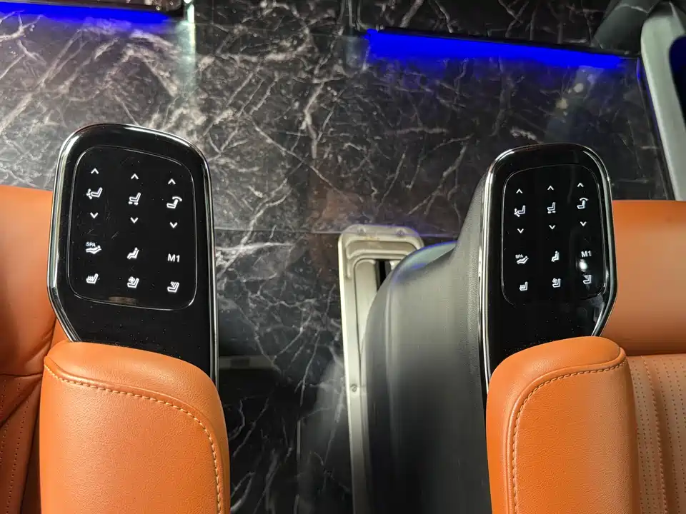 Trumpchi Trumpchi E9