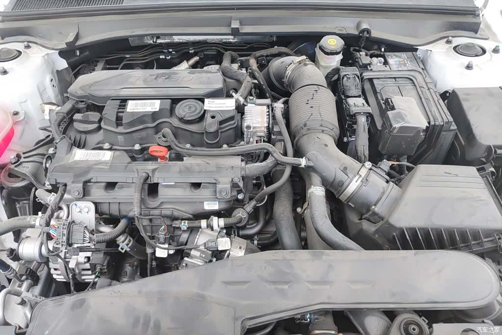 Kia K5, 2025 10