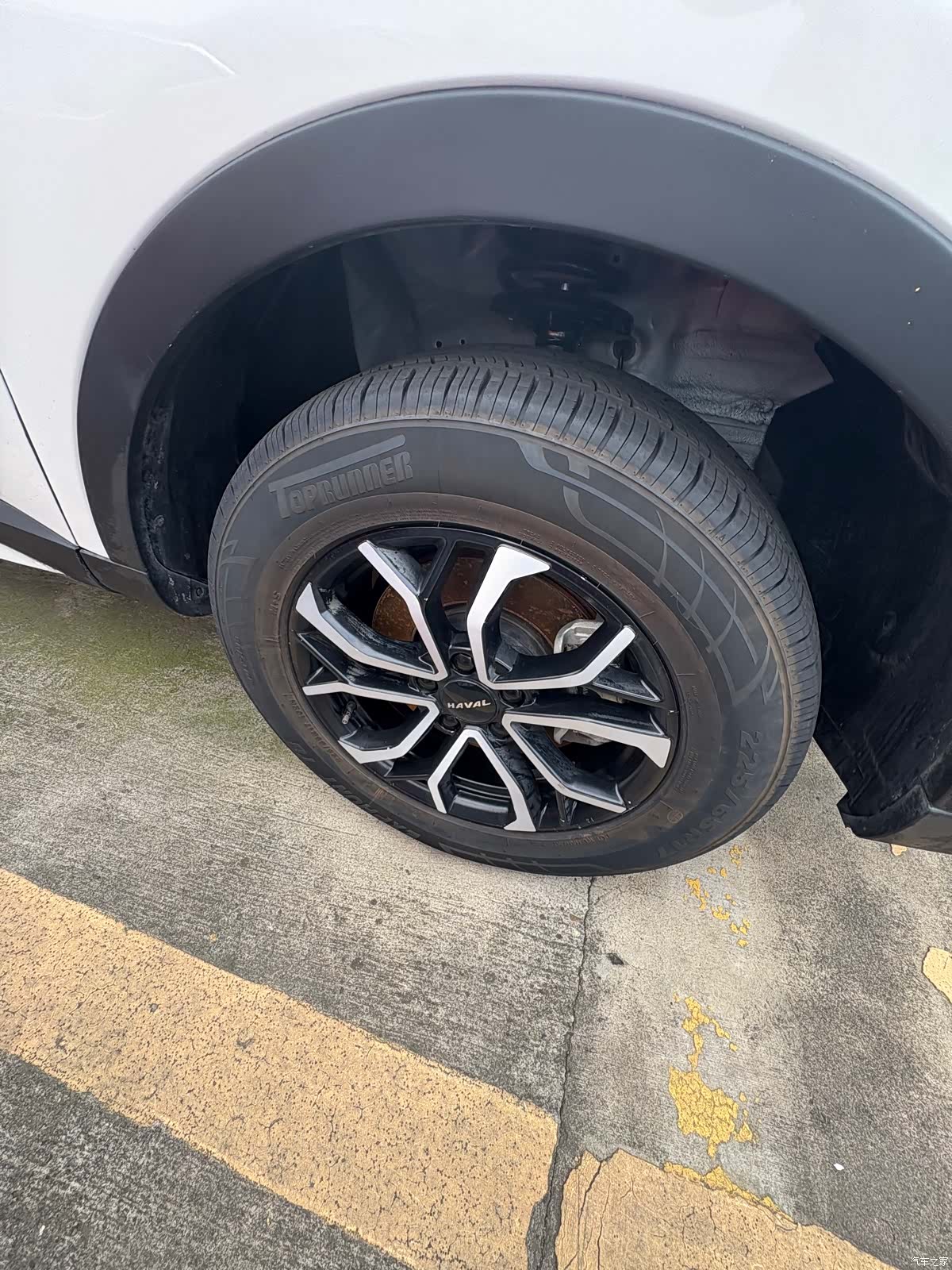 Haval H6, 2023 все фото