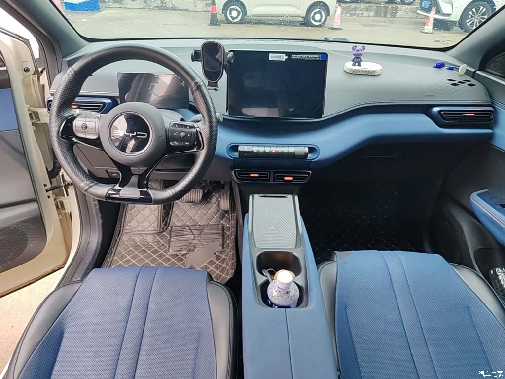 BYD Seagull, 2024 10