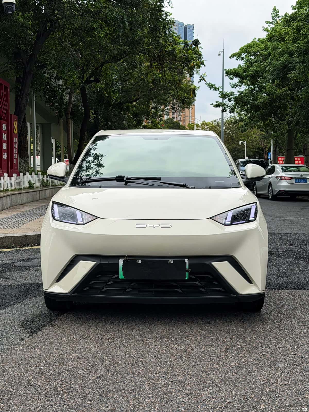 BYD Seagull, 2024 2