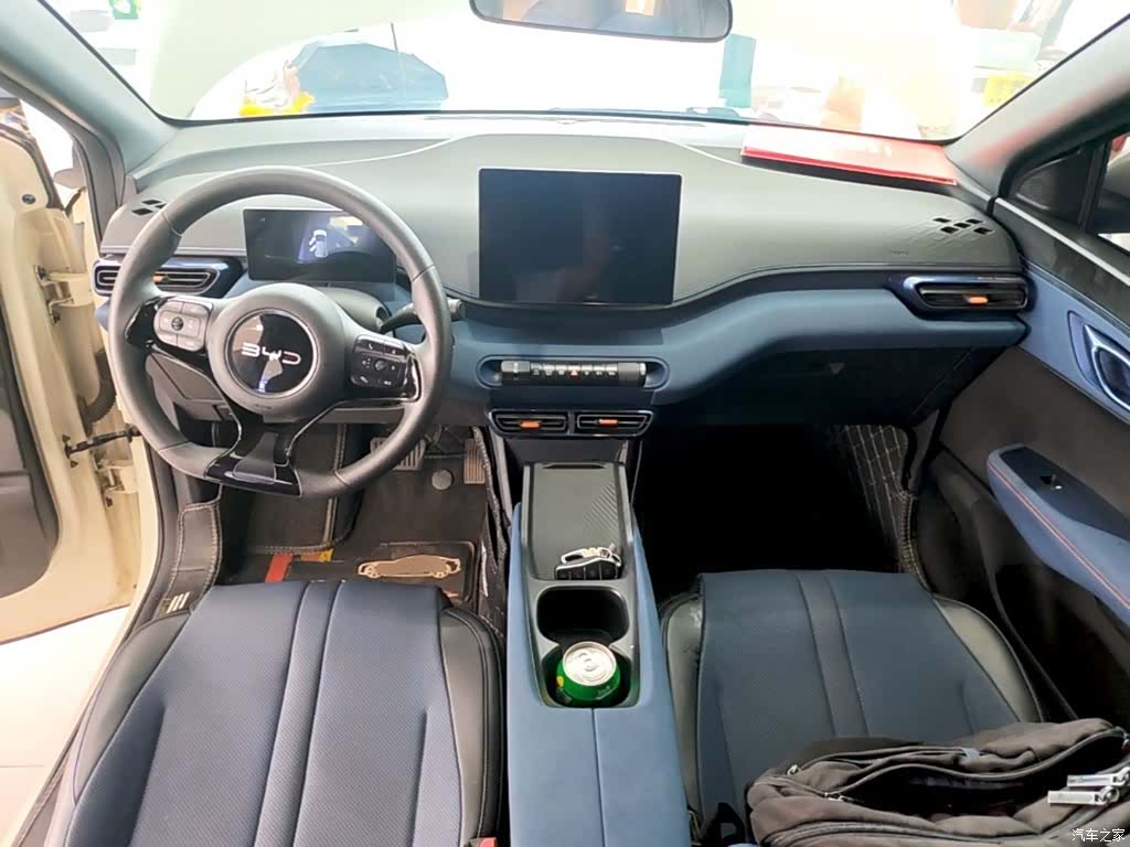 BYD Seagull, 2024 10