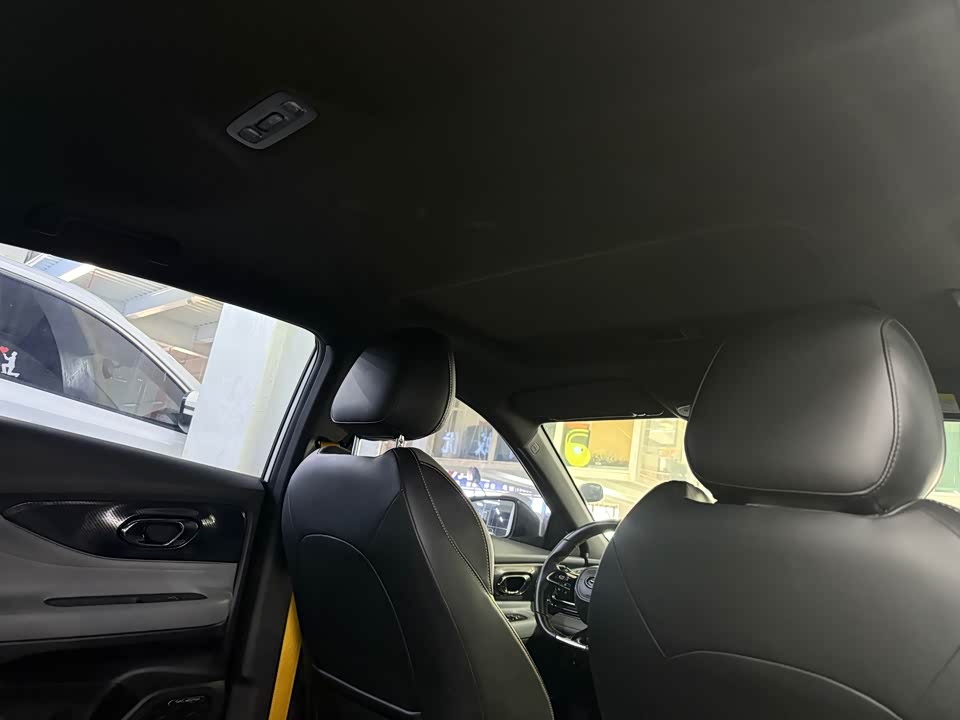 Trumpchi Shadow Leopard